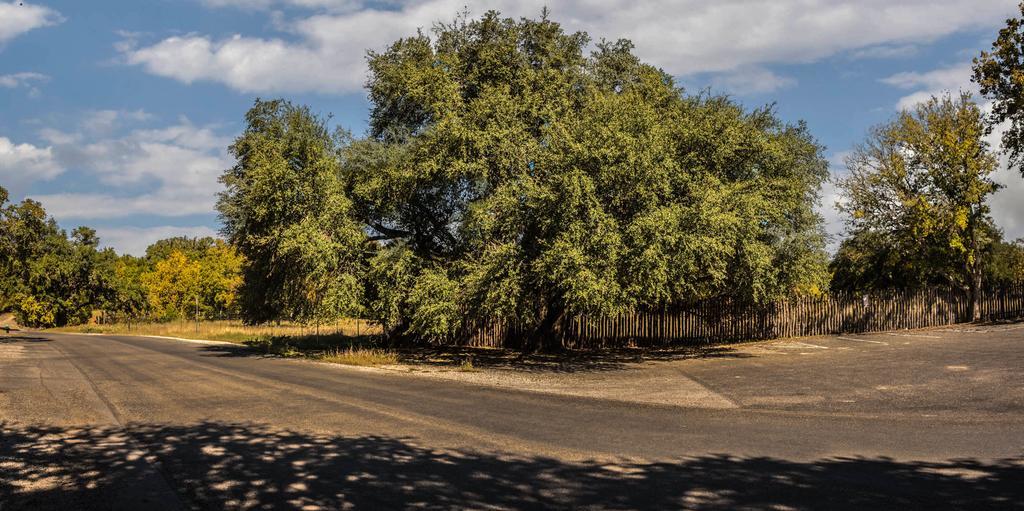 Cypress Fairway Village Wimberley Zewnętrze zdjęcie